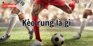 Giới thiệu đôi điều về kèo rung trong bóng đá