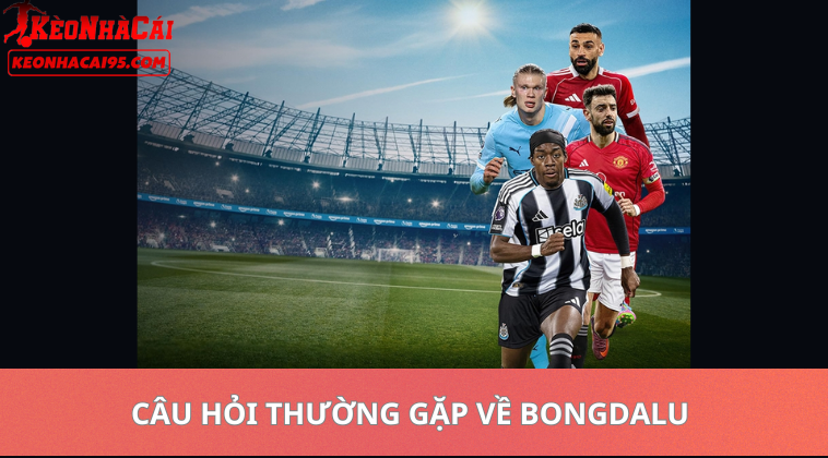 Bongdalu – Tỷ Số Trực Tuyến, Kèo Nhà Cái Và Nhận Định Hôm Nay 3 bongdalu